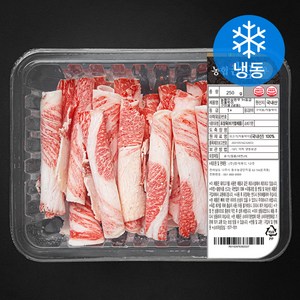 농협안심한우 차돌박이 1+등급 구이용 (냉동), 1팩, 250g