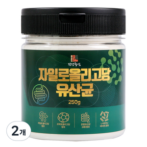 건강중심 자일로 올리고당, 2개, 250g