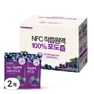 참앤들황토농원 국내산 NFC 착즙원액 포도즙, 5L, 100개