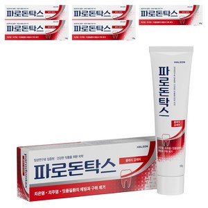 파로돈탁스 클래식 검케어 치약, 100g, 6개