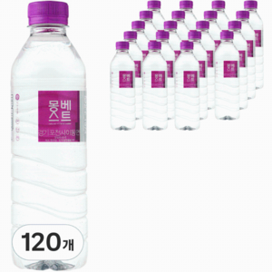 몽베스트 생수, 500ml, 120개