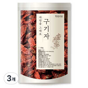 한방선생 건 구기자, 100g, 3개