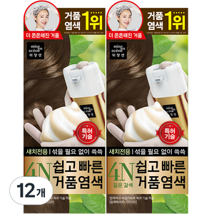 미쟝센 쉽고 빠른 거품 염색 새치전용, 4N 짙은갈색, 12개