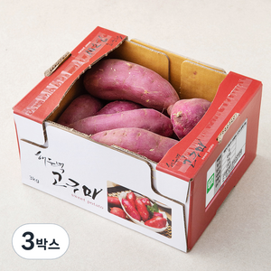 해들녘 무농약 고창황토 고구마, 3kg(왕특), 3박스