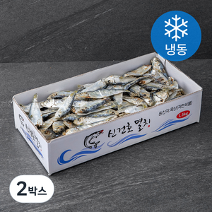 신건호멸치 국산 실속형 국물용 햇 디포리 (냉동), 1.5kg, 2박스