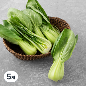 국내산 청경채, 300g, 5개