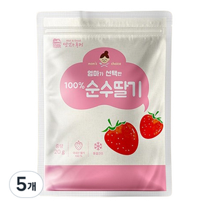 맛있는풍경 엄마가 선택한 순수딸기, 20g, 5개