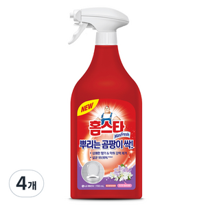 홈스타 뿌리는 곰팡이 싹 세정제, 900ml, 4개