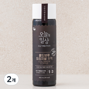 오늘의일상 콜드브루 원액, 400ml, 2개