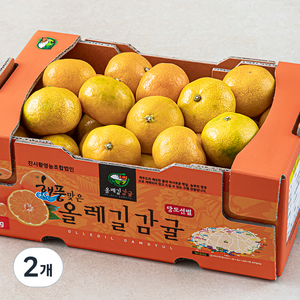 해풍맞은 올레길 Ai 당도선별 12bix 감귤 랜덤과, 2kg(랜덤과), 2개