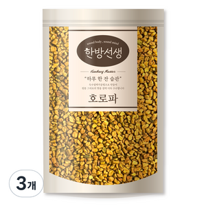 한방선생 호로파 씨앗 특품, 600g, 3개