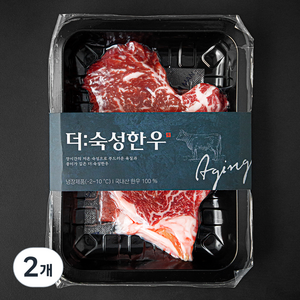 더 숙성한우 등심 2등급 구이용 (냉장), 250g, 2개