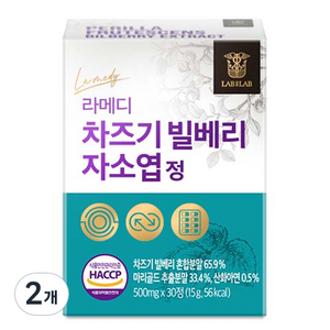 라메디 고농축 차즈기 추출물 빌베리 눈 자소엽 캡슐 15g, 2개