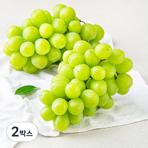 한반도 비파괴 당도선별 샤인머스캣, 1kg(1~2수), 2개