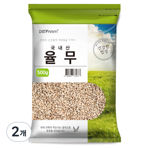 대구농산 건강한 밥상 국산 율무, 500g, 2개