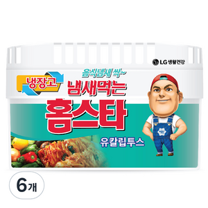 냄새먹는 홈스타 냉장고용 탈취제 유칼립투스, 420g, 6개