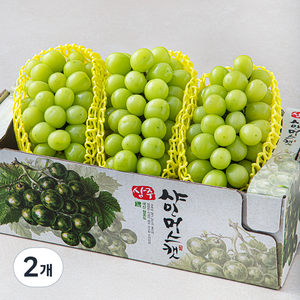 산농 상주 샤인머스캣, 2.2kg(3~4수), 2개