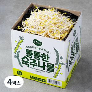 맑은물에 통통한 숙주나물, 3.5kg, 4박스