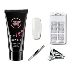 네일은재료빨 일반 폴리젤 30ml + 일반팁 100p + 듀얼 브러쉬 + 클립 세트, 클리어, 1세트