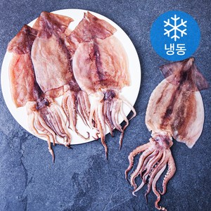 빅마마 손질 오징어 (냉동), 400g(4미), 1개