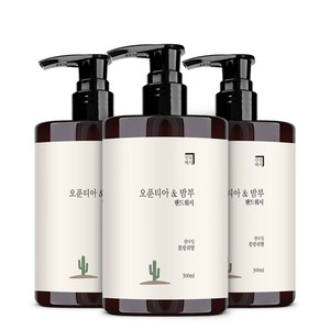 살림백서 오푼티아 앤 밤부 핸드워시 블랑쉬, 3개, 300ml