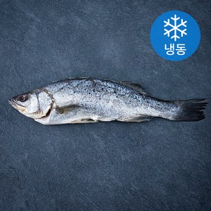 목포수협 농어 (냉동), 500g, 1팩