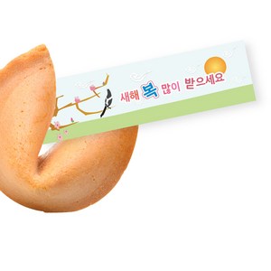 포춘쿠키 새해운세 400p, 2kg, 1개