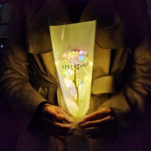 라알레그리아 조화 LED 홀로그램 장미 한송이 꽃다발, 사랑합니다, 2개