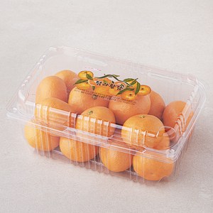 탐라황감 당도선별 10bix 감귤, 1.5kg(로열과), 1박스