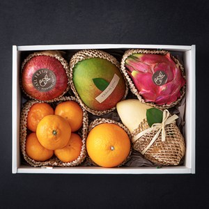 방문 과일 선물 올프레쉬 제철과일 혼합선물 세트 2호 2.06kg, 1세트
