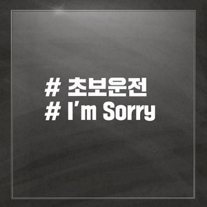 차량용 스티커 해시태그, 초보 I m Sorry, 1개