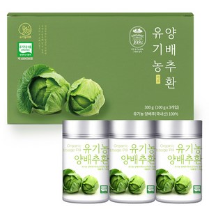 유기농마루 유기농 양배추환, 300g, 1개