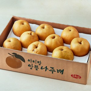 아리팜 나주 알뜰배 5~10입, 1개, 5kg