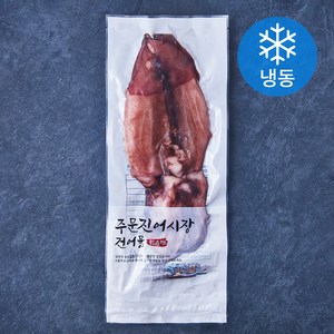 주문진어시장건어물 반건조 오징어 (냉동), 1개, 450g(4미)