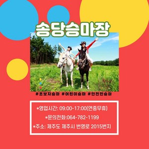 [제주] [초원코스] 제주어린이 승마 & 제주초보자 승마 (송당승마장) 바로사용가능
