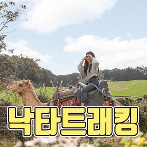 [제주] 낙타트래킹+먹이주기체험