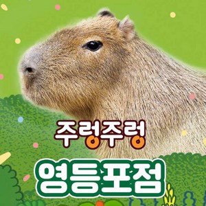 [서울] 주렁주렁 실내 동물원 영등포점