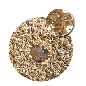 밀웜나라 극소밀웜 0.3~0.8cm 200마리, 0.5g, 1개