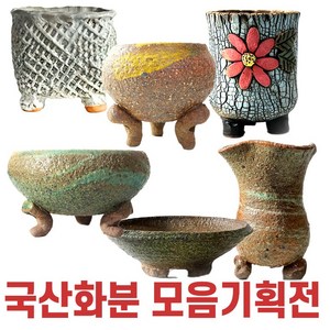 국산 다육이 화분, 14번, 1개