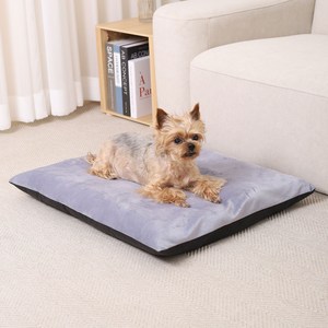 두유레디 강아지 방석 속통 분리 순면 극세사, 끈 없음, 블랙 투톤