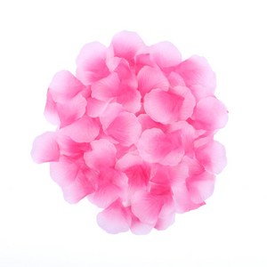 파티짱 꽃잎 조화 하트 50개입, 장미 조화 꽃잎 100개입 (블라썸)