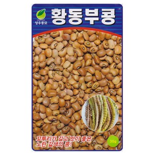 황 동부콩 씨앗 30g 덩굴성 동부콩씨 종자 키우기, 1개