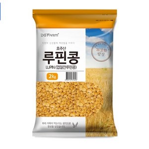 건강한밥상 루핀콩, 2kg, 2개