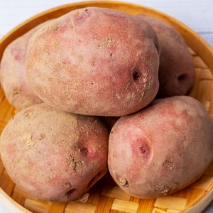 [블루밍그린] 포슬포슬 국내산 카스테라 홍감자, 1개, 3kg / 왕특