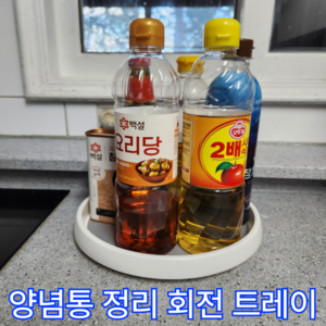 더 리치리치 다용도 양념통 정리대 회전트레이 냉장고 정리대, 1개