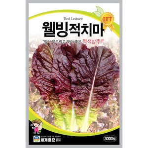 [모종심는아빠] 잎이 부드럽고 맛이 좋은 적색 상추 웰빙적치마 종자 3000립, 1개