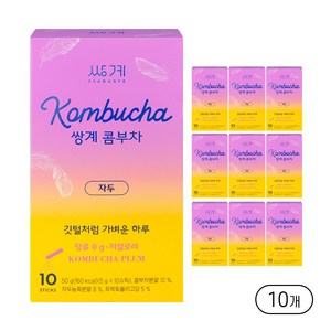 쌍계명차 콤부차 자두, 10개, 10개입, 5g