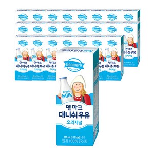 덴마크 대니쉬 오리지널 멸균우유, 200ml, 24개