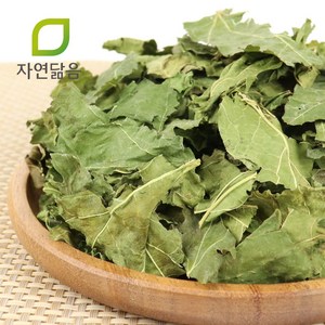 자연닮음 국산 저당지수 뽕잎 상엽 600g, 1개입, 1개