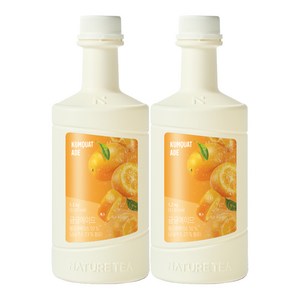 네이쳐티 금귤에이드 1.2KG 2개세트, 2개